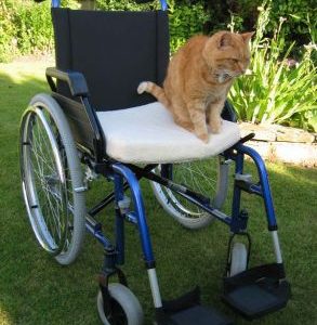 Wheelchair Cushion ( cream fleece )