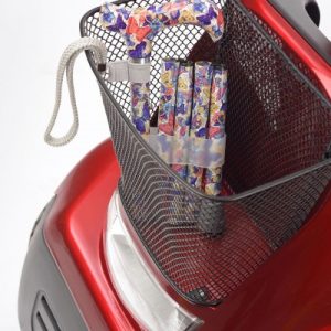 Folding Walking Stick